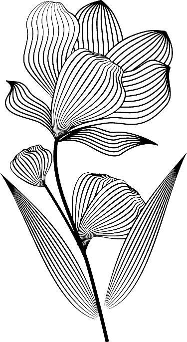 Line art 2